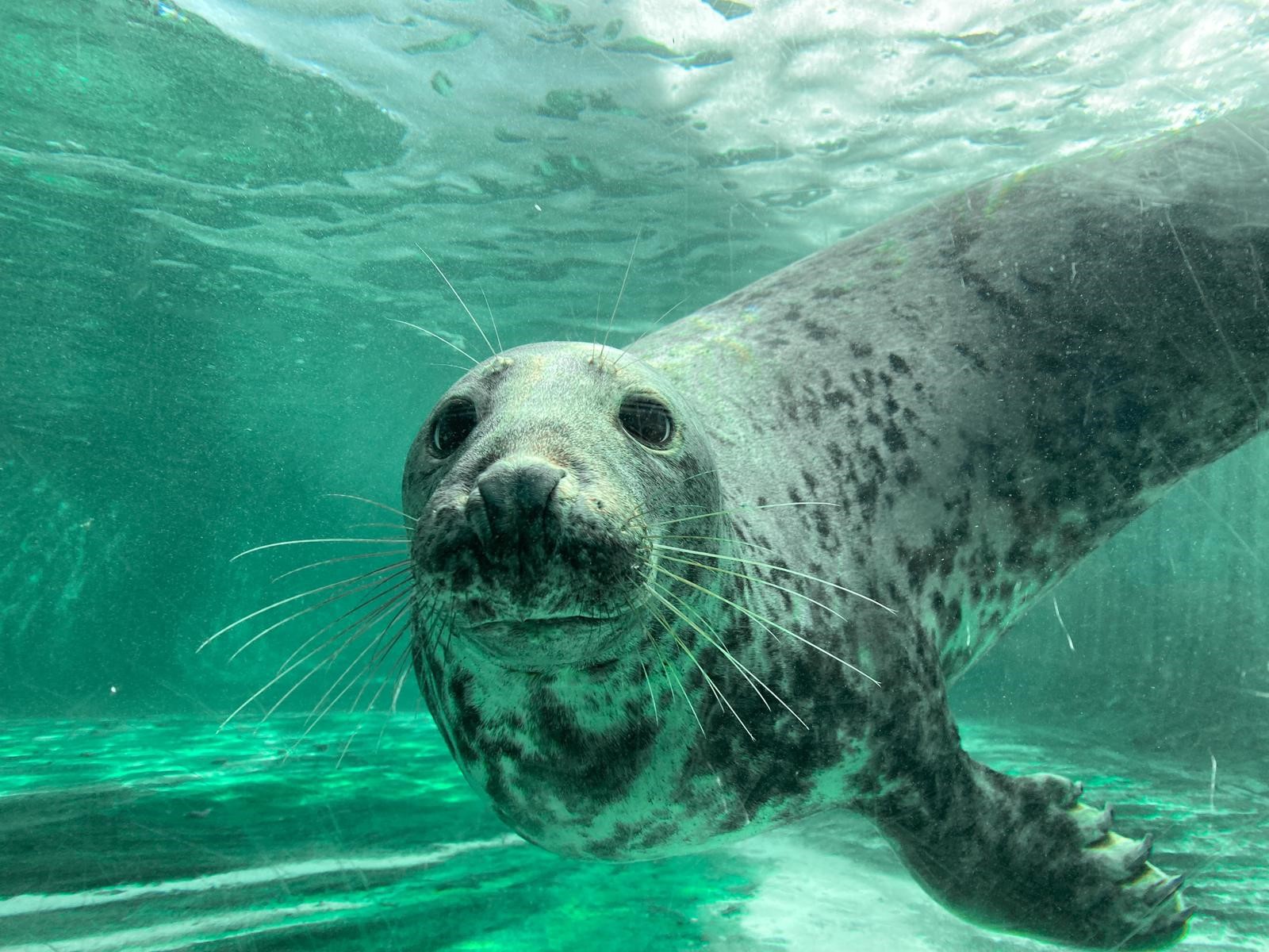 Book Tickets 2 Days in Advance to Save