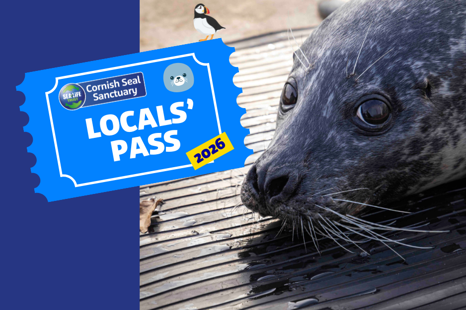 Locals' Annual Pass 2026